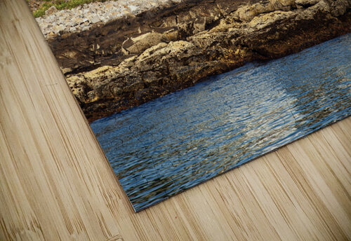 Harbor View of Marshall Point Lighthouse and Keepers Building in Maine Allan Wood puzzle