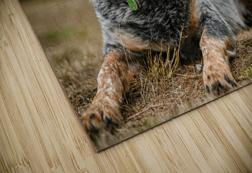 Z72 3543 Wallace puzzle