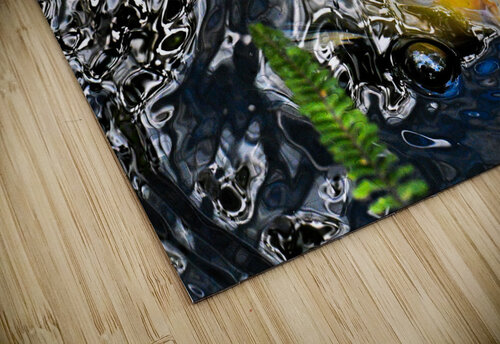 Z72 1016 Wallace puzzle