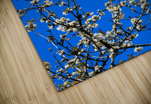 DSC 0657 Wallace puzzle