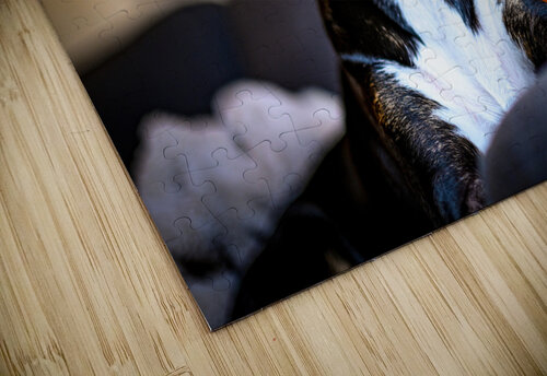 Z72 4022 Wallace puzzle