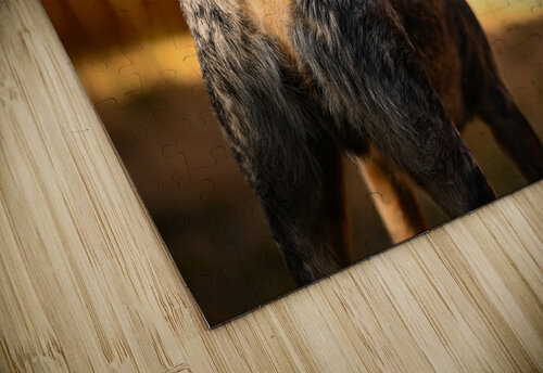 Z72 2939 Wallace puzzle