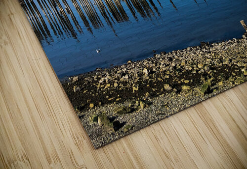 IMG 1842 Wallace puzzle