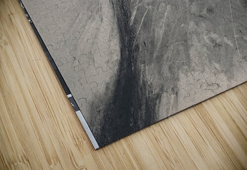 IMG 3609 Jeff Robins puzzle