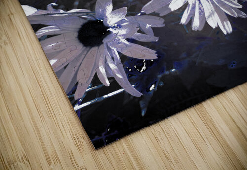Abstract White Daises Catriona Roberts Nature Photography and Designs puzzle