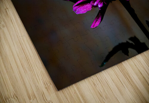 Dramatic Purple JLW Photos puzzle