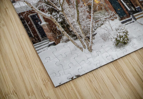 Soft Snowfall in Toronto Thea Menagh puzzle