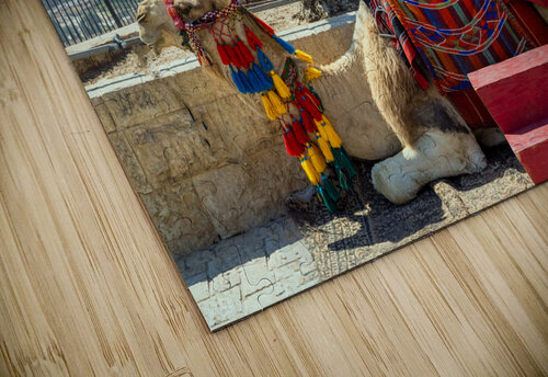 Jerusalem Islamic shrine Dome of the Rock located in the Old City on Temple Mount Elijah Lovkoff puzzle