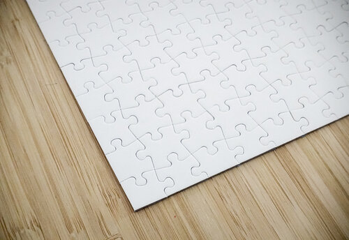 Florida white Conceptual Photography puzzle