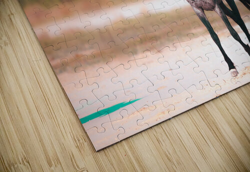 BZ9 7189 Enhanced NR Susan Lynn Cooke puzzle