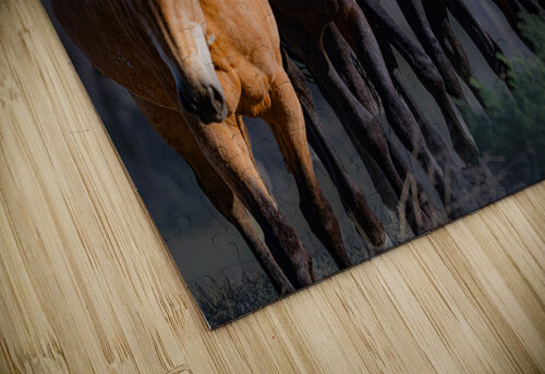 BZ9 6597 Enhanced NR Susan Lynn Cooke puzzle