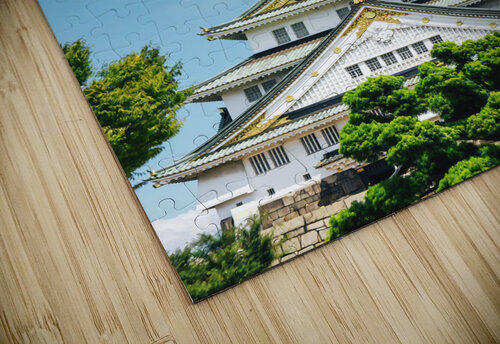 Osaska Japan12 Conceptual Photography puzzle