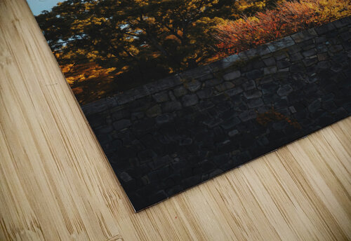 Osaska Japan11 Conceptual Photography puzzle