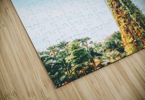 Singapore3 Conceptual Photography puzzle