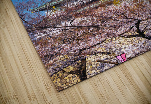 Osaska Japan6 Conceptual Photography puzzle