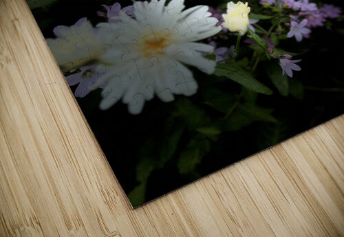 Cottage Garden in the Darkness Catriona Roberts Nature Photography and Designs puzzle