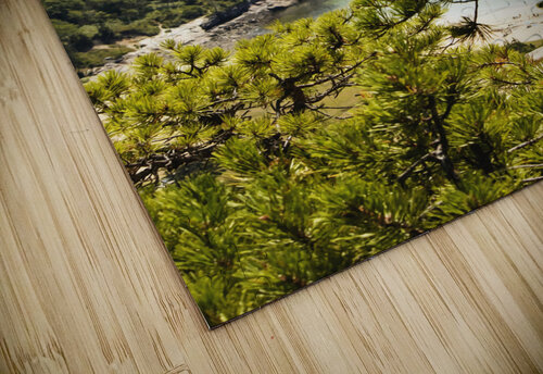 Acadia National Park Conceptual Photography puzzle