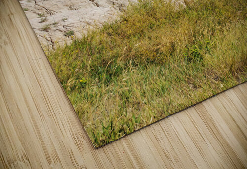 Badlands National Park3 Conceptual Photography puzzle