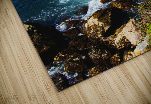 Acadia National Park3 Conceptual Photography puzzle