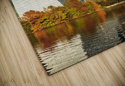 Austin Texas6 Conceptual Photography puzzle