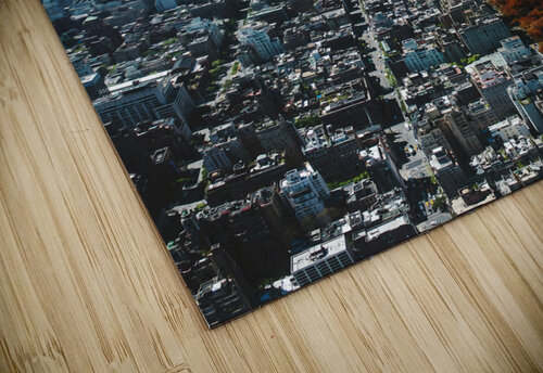 Central Park New York4 Conceptual Photography puzzle