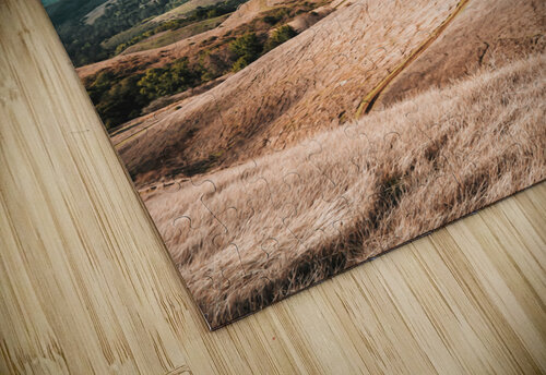 California7 Conceptual Photography puzzle