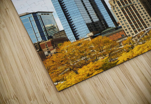 Chicago Illinois 18 Conceptual Photography puzzle