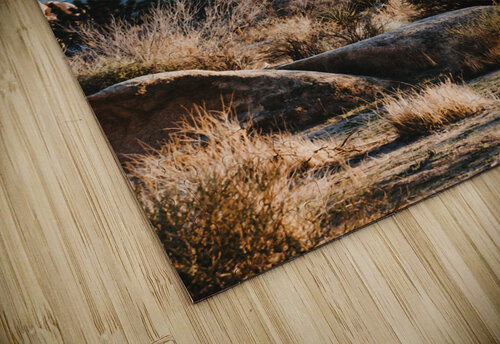 Joshua Tree National Park Conceptual Photography puzzle