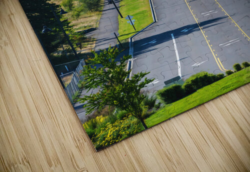 Mount Rainier National Park Conceptual Photography puzzle
