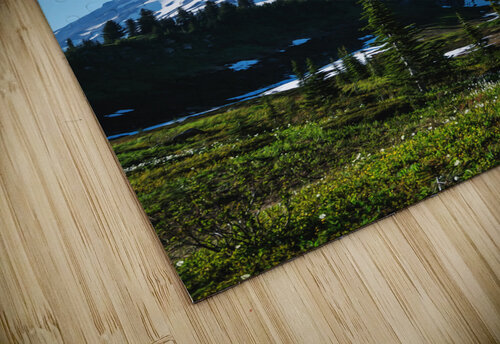 Mount Rainier National Park3 Conceptual Photography puzzle
