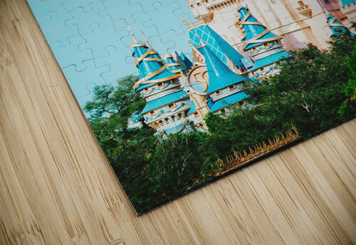 Orlando Florida3 Conceptual Photography puzzle