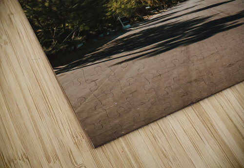 Palm Springs California7 Conceptual Photography puzzle