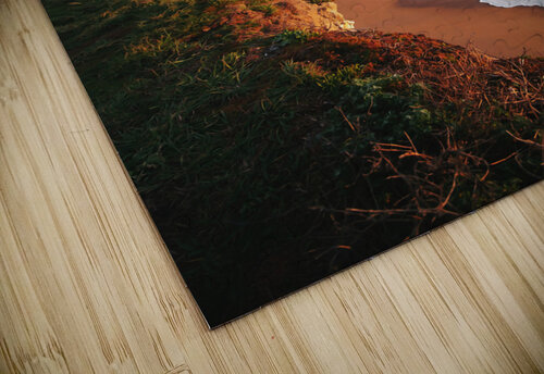 Santa Cruz California Conceptual Photography puzzle