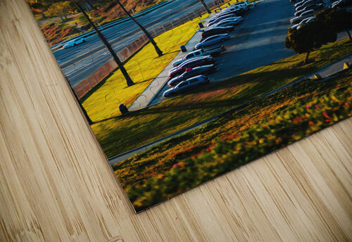 San Pedro Los Angeles Conceptual Photography puzzle
