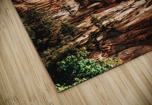 Zion National Park2 Conceptual Photography puzzle
