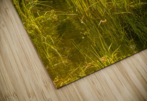 Marsh Grass Evening  Reflections Norma Brandsberg Photography puzzle