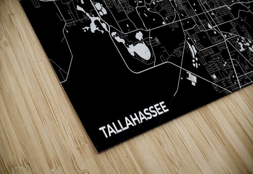 Tallahassee Florida City Map Print Conceptual Photography puzzle