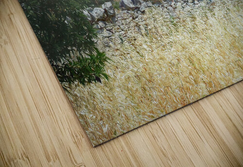 Ancient Trulli Houses in Bari Norma Brandsberg Photography puzzle