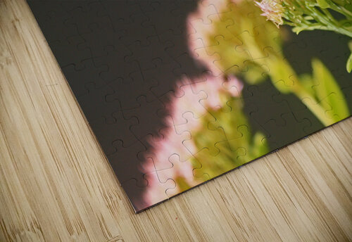 Vibrant Butterfly Gods Eye Candy puzzle