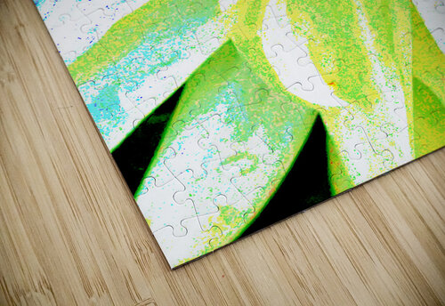 Abstract Textured Daisy Flower Catriona Roberts Nature Photography and Designs puzzle