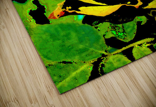 Abstract Rose  Catriona Roberts Nature Photography and Designs puzzle