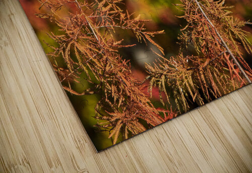 Kingfisher in Autumn Bokeh Chad Meyer puzzle