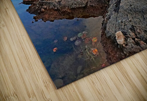 Rock Of McGregor Bay Ontario II Deb Oppermann puzzle