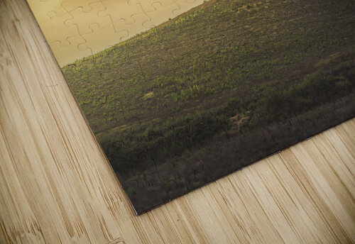 Cypress grove in Tuscany Stefano Orazzini puzzle