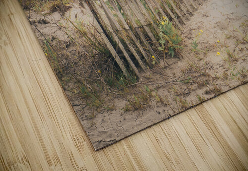 Buried Sand Fencing Jason Fink puzzle