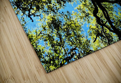 Birch Tree Canopy in Intelligent Art Catriona Roberts Nature Photography and Designs puzzle