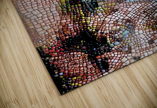 Mosaic Gaze Luciano puzzle