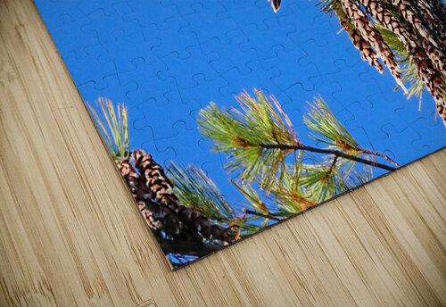 Merlin And Pine Cones II Deb Oppermann puzzle