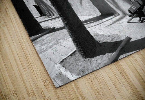 BW PRINT COLLECTION039 Jeremy Horner Images puzzle