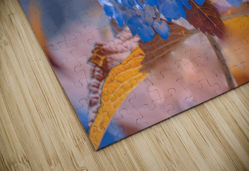 Blue Hydrangea Joan Han puzzle
